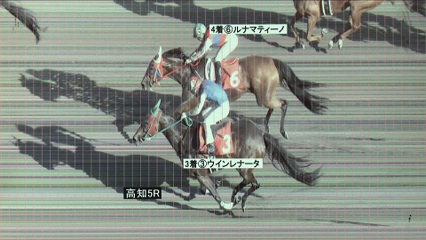 判定写真