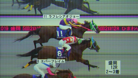 判定写真