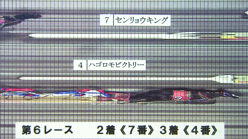 判定写真