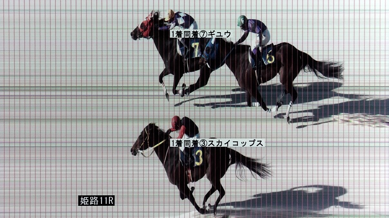 判定写真
