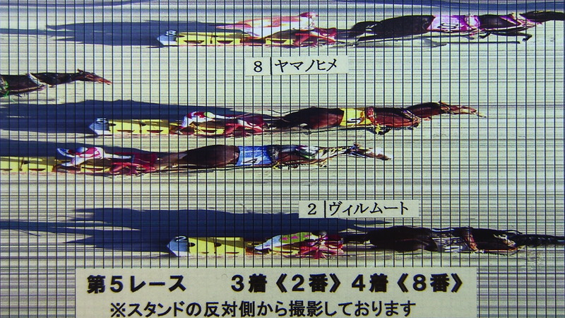 判定写真