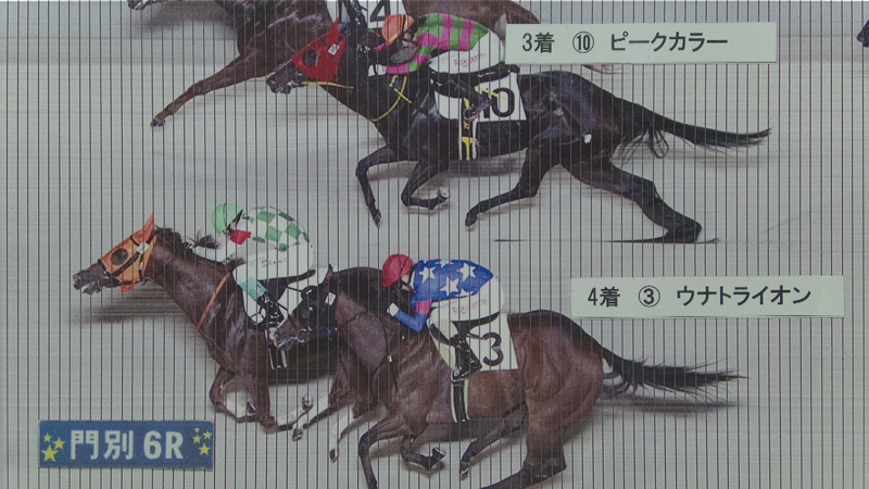 判定写真