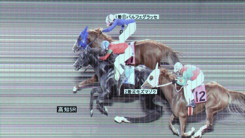判定写真