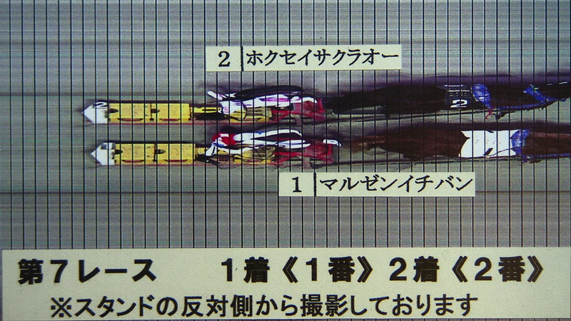 判定写真