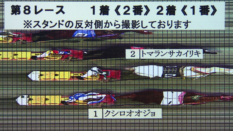 判定写真