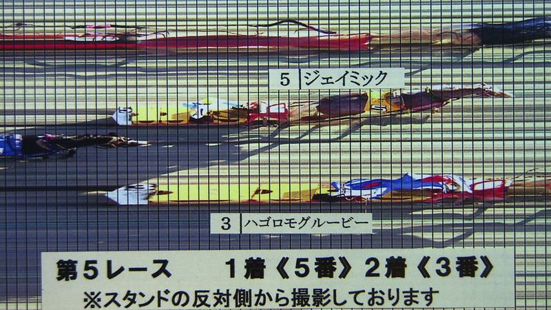 判定写真