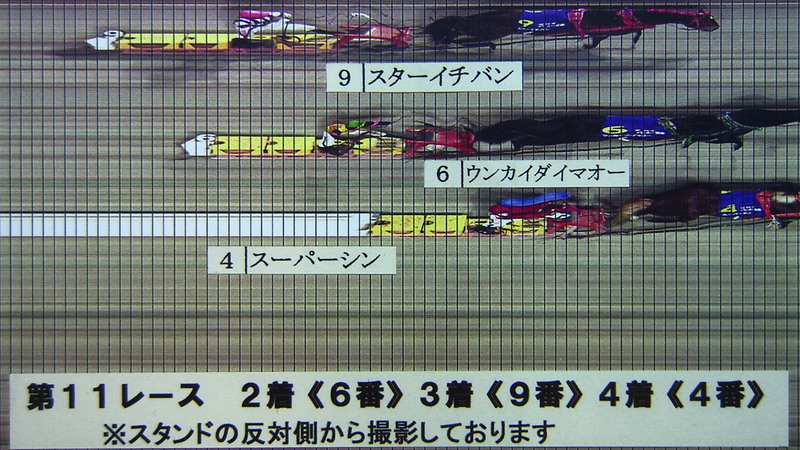 判定写真