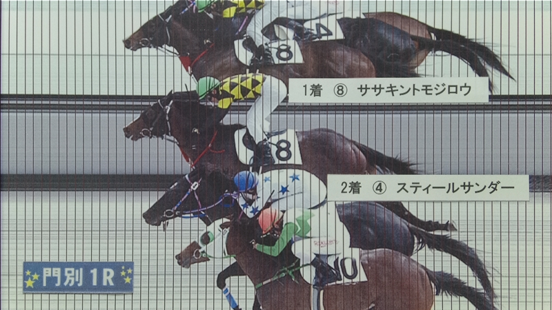 判定写真