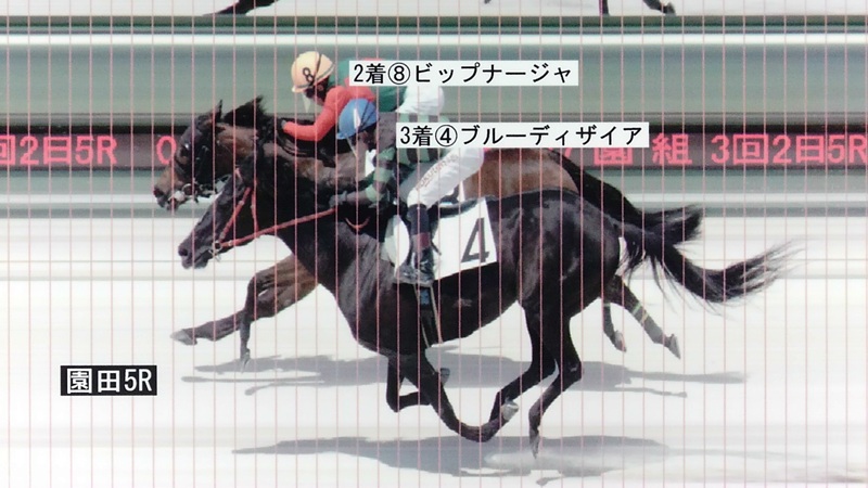 判定写真