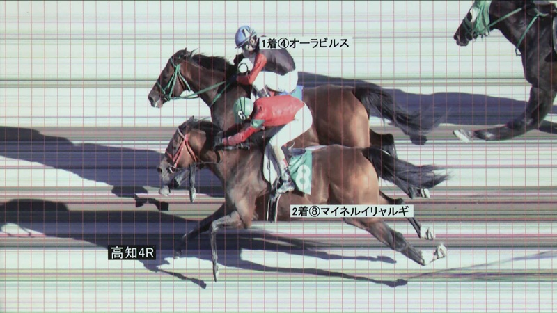 判定写真