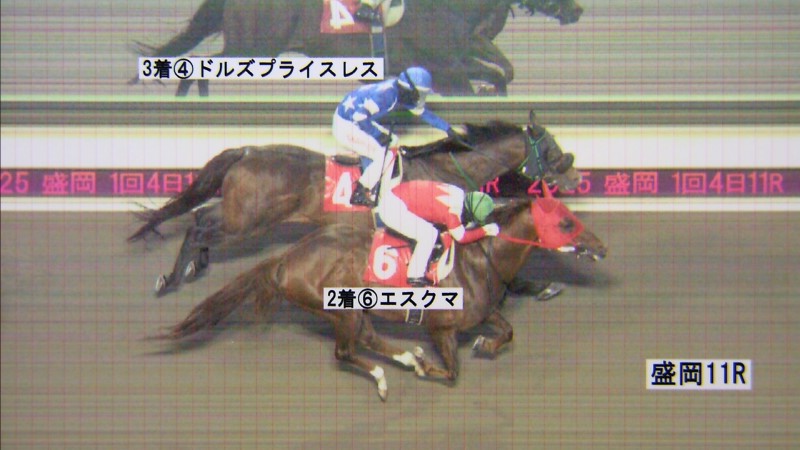 判定写真