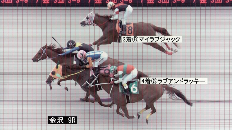 判定写真