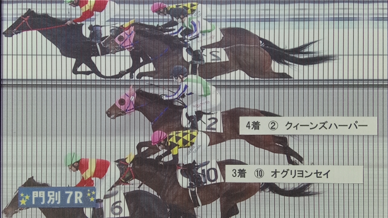 判定写真