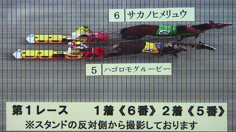 判定写真