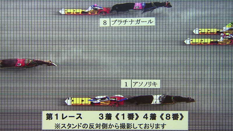 判定写真