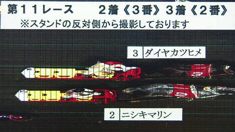 判定写真