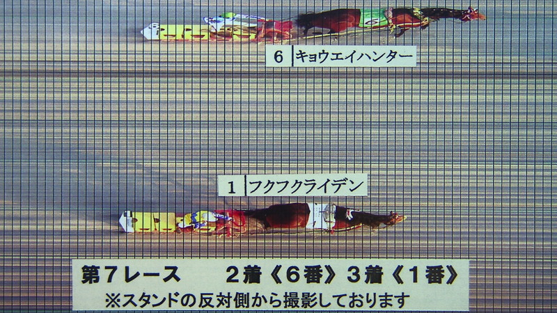 判定写真