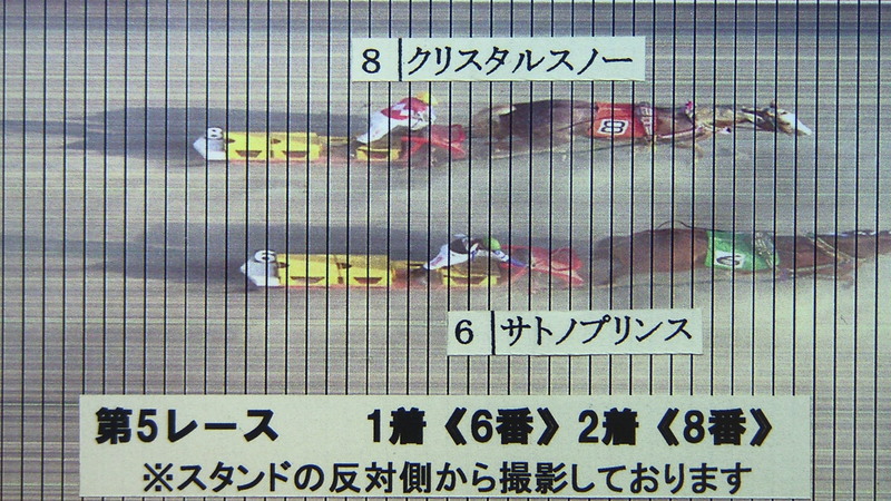 判定写真
