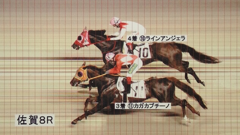 判定写真