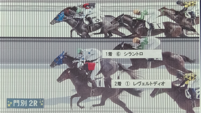 判定写真