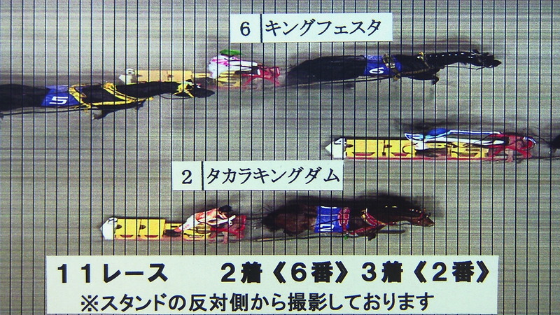 判定写真