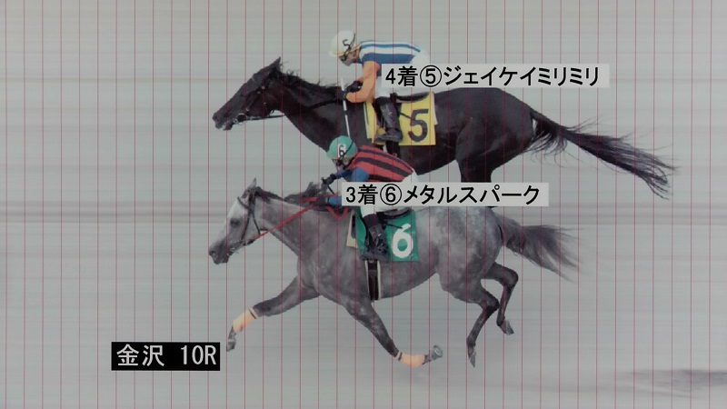 判定写真