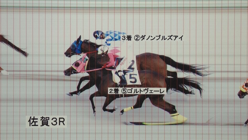判定写真