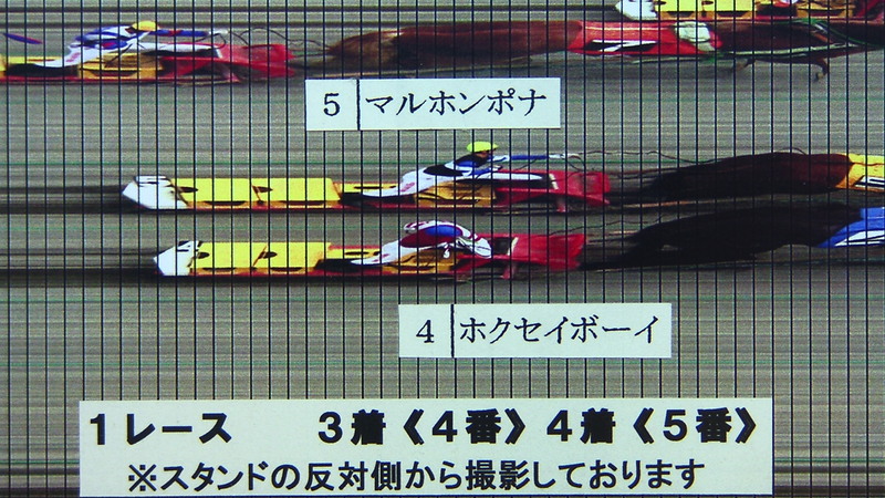 判定写真