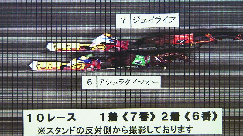 判定写真