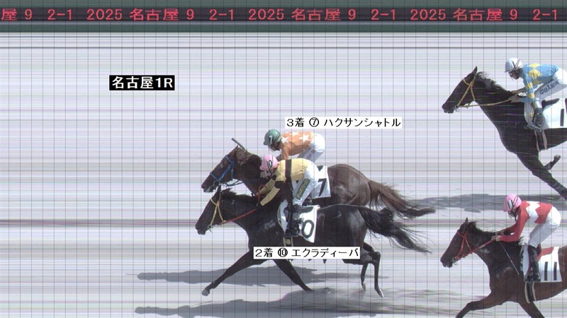 判定写真