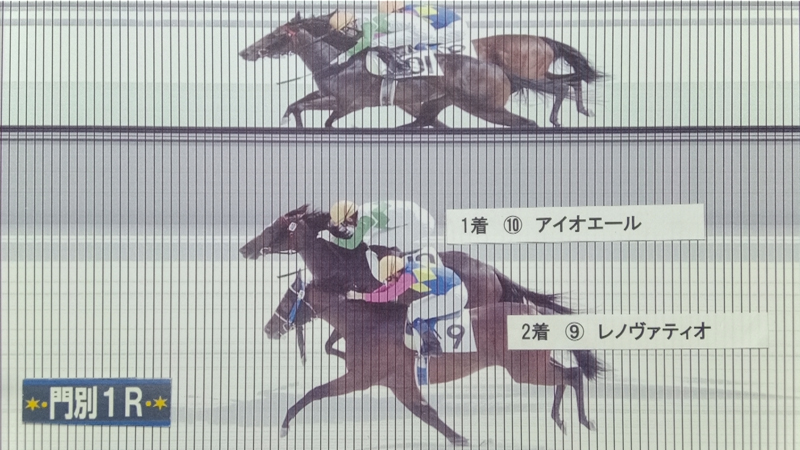 判定写真