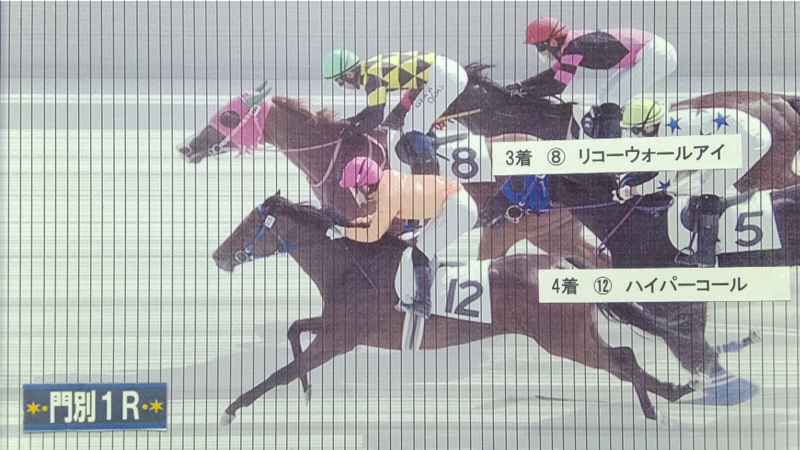 判定写真