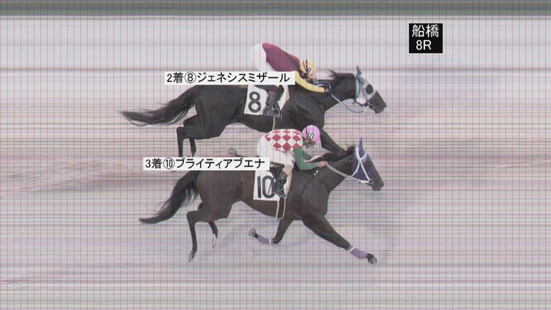 判定写真