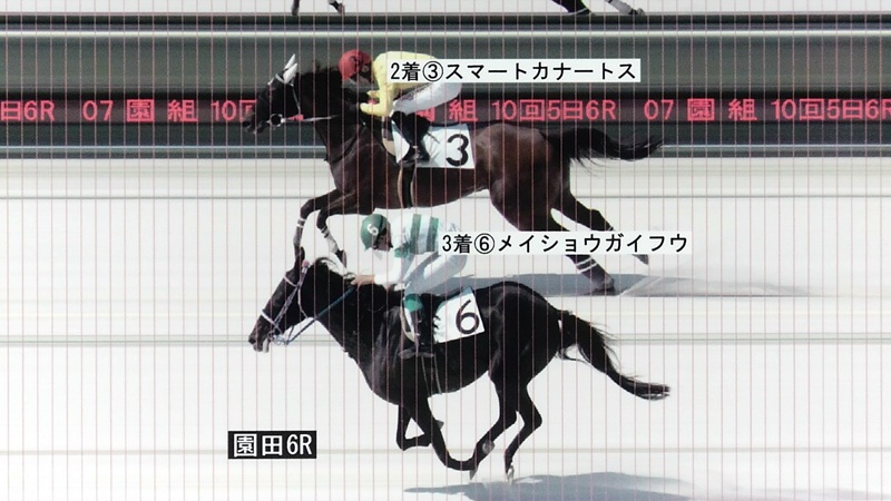 判定写真