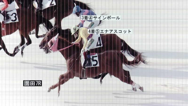 判定写真