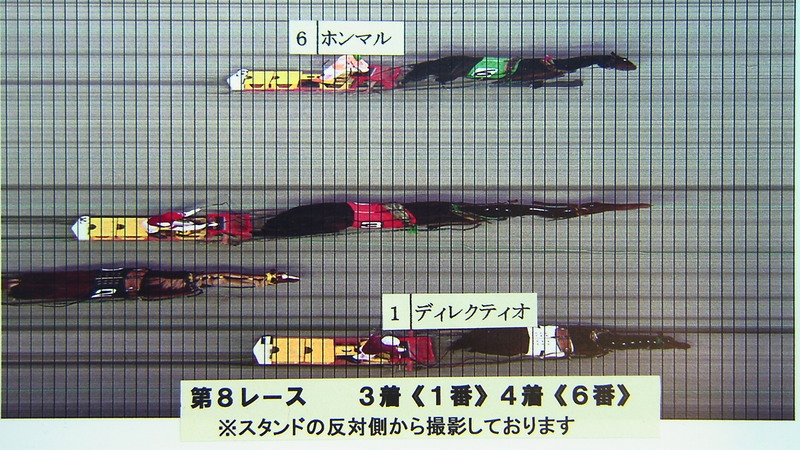 判定写真