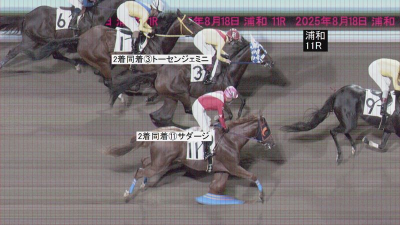 判定写真