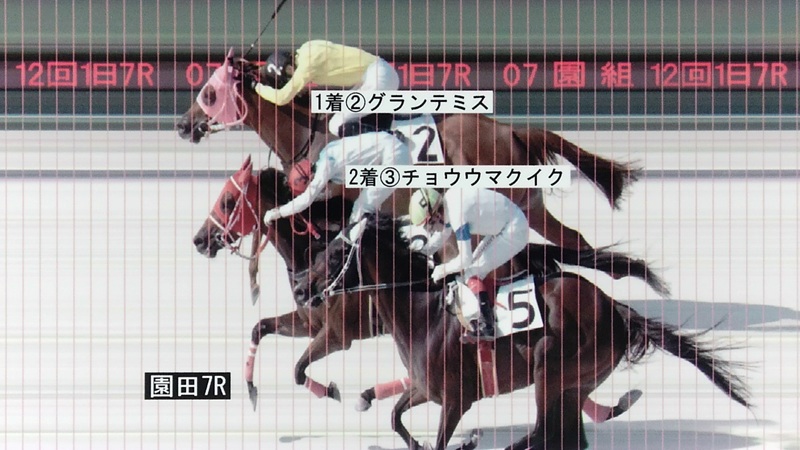 判定写真