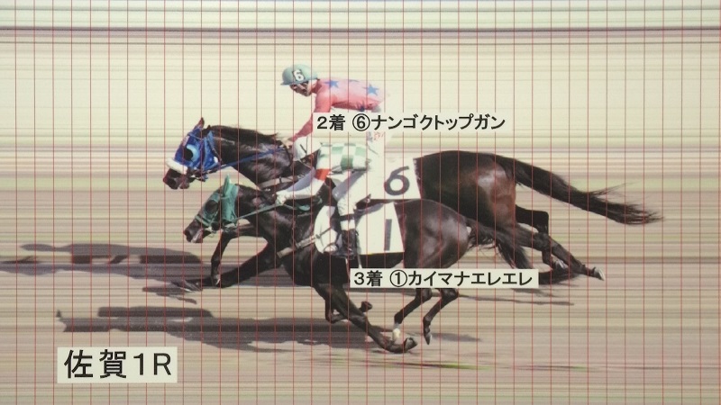 判定写真