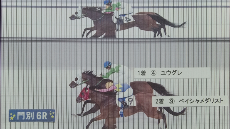 判定写真