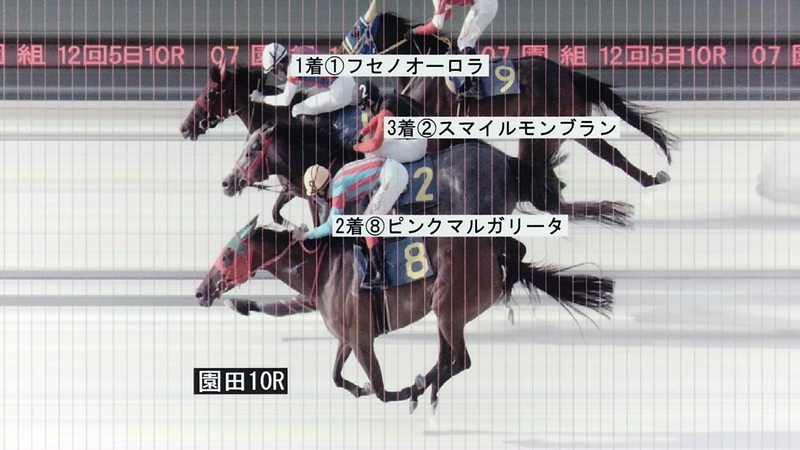判定写真