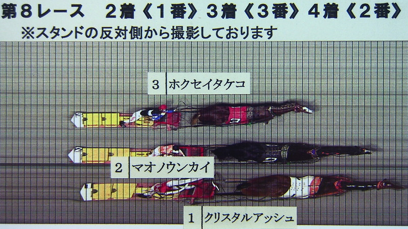 判定写真