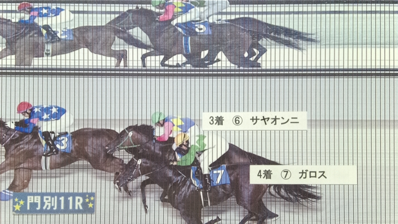判定写真