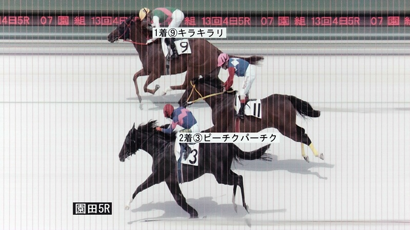 判定写真