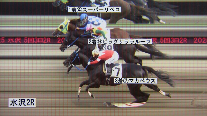 判定写真