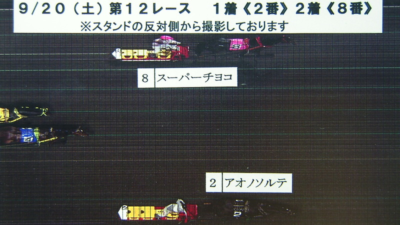判定写真