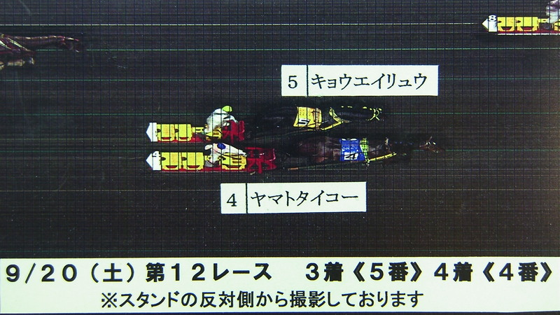 判定写真