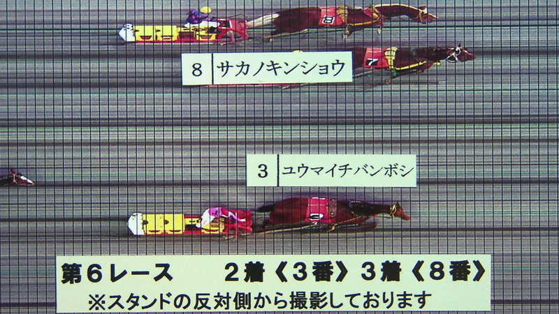 判定写真