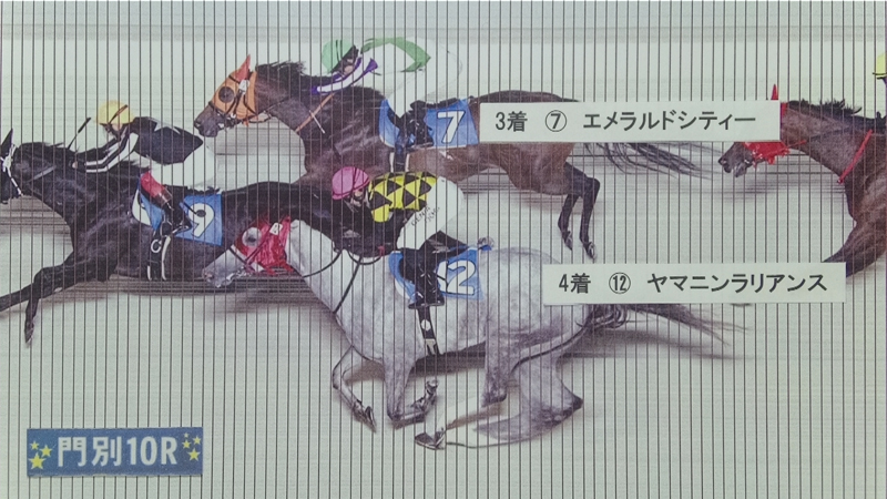 判定写真