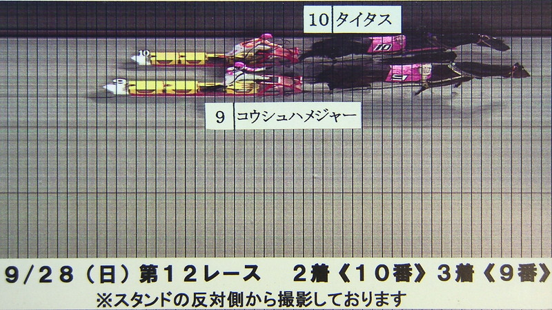 判定写真